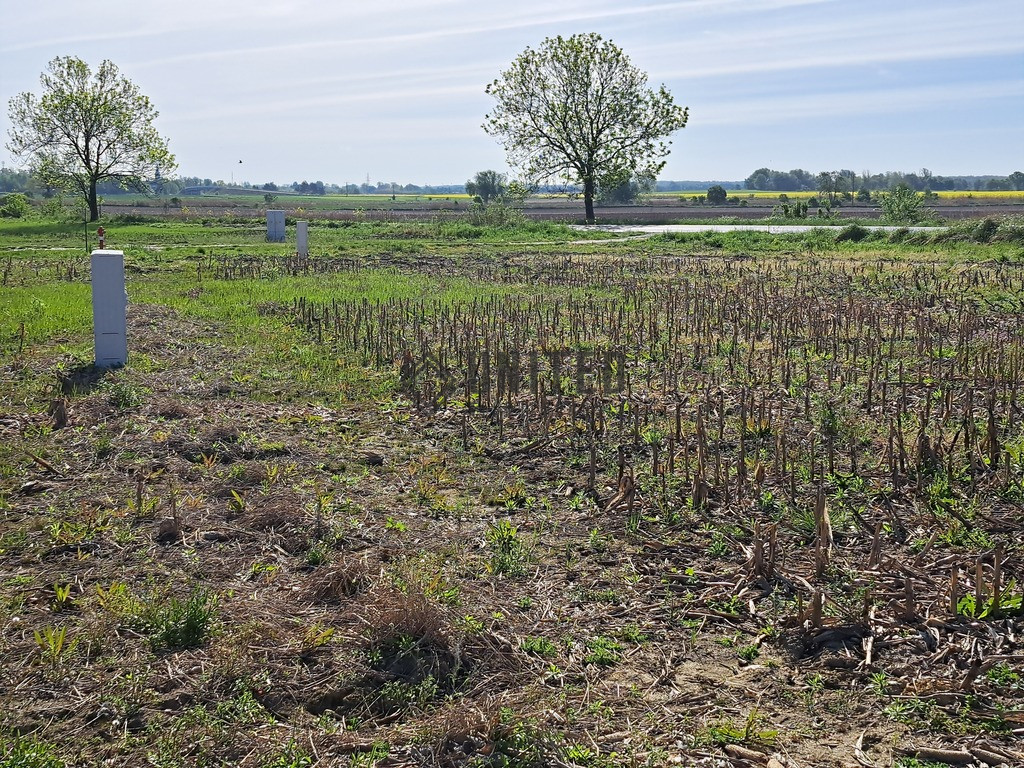 Działka Sprzedaż Jagoszyce 7