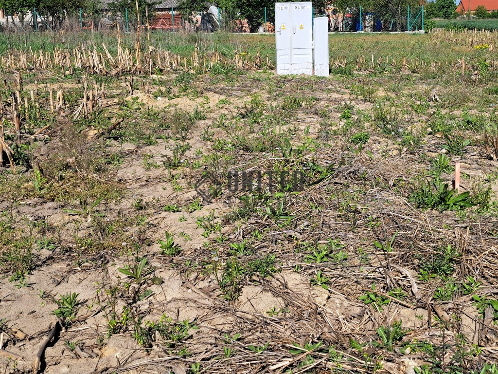 Działka Sprzedaż Jagoszyce 10