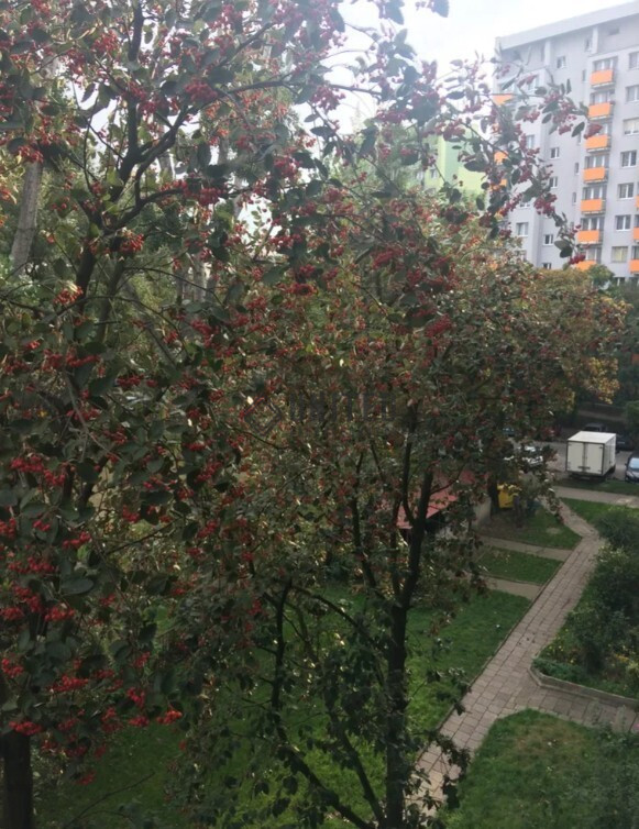 Mieszkanie Sprzedaż  Wrocław-Fabryczna Oporowska 7