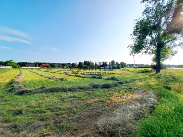Działka Sprzedaż Borowa Klonowa