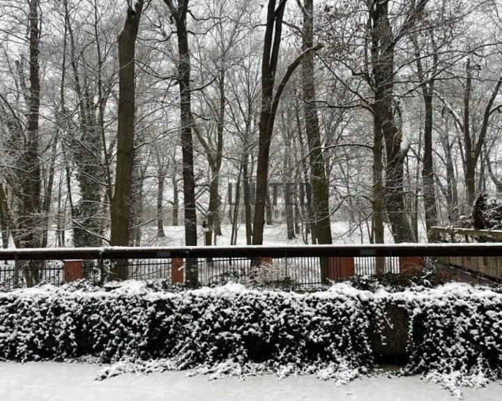 Mieszkanie Sprzedaż Wrocław Wrocław-Śródmieście Ludwika Pugeta