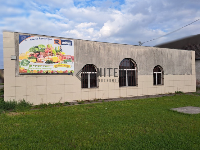 Magazyn Sprzedaż Domaniów 3