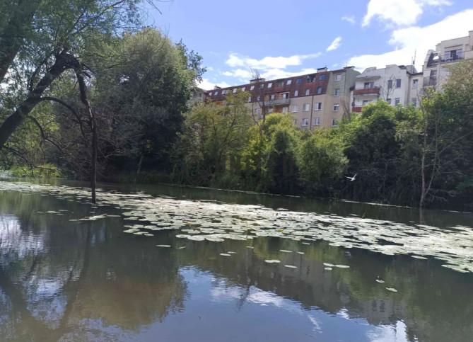 Mieszkanie Sprzedaż  Wrocław-Krzyki Miernicza 1