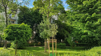 Mieszkanie Sprzedaż  Wrocław-Stare Miasto Jęczmienna
