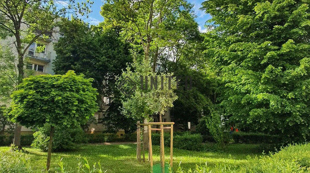 Mieszkanie Sprzedaż  Wrocław-Stare Miasto Jęczmienna 2
