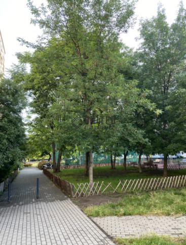 Mieszkanie Sprzedaż Wrocław Stare Miasto Ziemowita 13