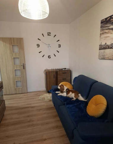 Mieszkanie Sprzedaż Wrocław Fabryczna Fabryczna 3